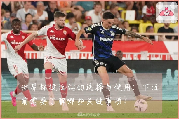 世界杯投注站的选择与使用：下注前需要了解哪些关键事项？