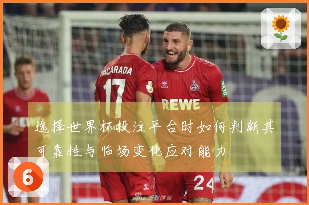 选择世界杯投注平台时如何判断其可靠性与临场变化应对能力