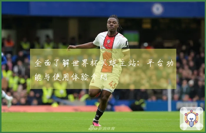 全面了解世界杯买球主站：平台功能与使用体验介绍