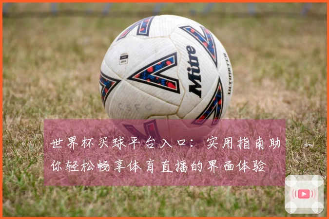 世界杯买球平台入口：实用指南助你轻松畅享体育直播的界面体验