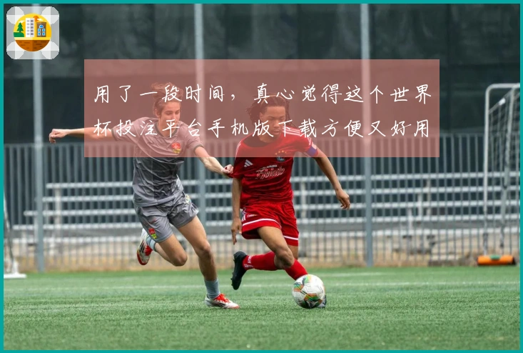 用了一段时间,真心觉得这个世界杯投注平台手机版下载方便又好用