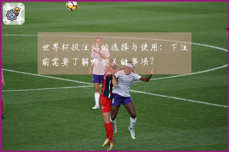 世界杯投注站的选择与使用:下注前需要了解哪些关键事项?