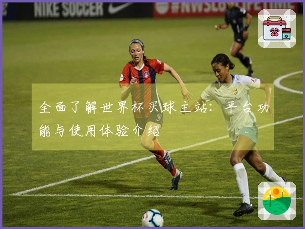 全面了解世界杯买球主站：平台功能与使用体验介绍