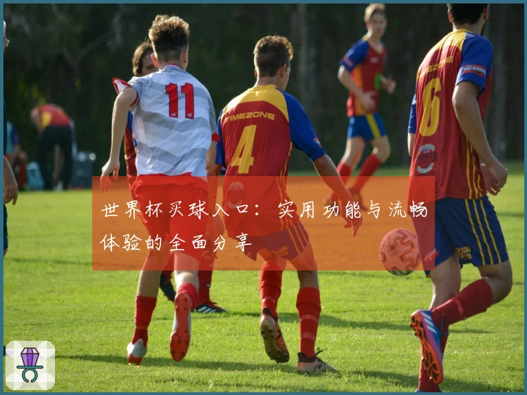 世界杯买球入口：实用功能与流畅体验的全面分享