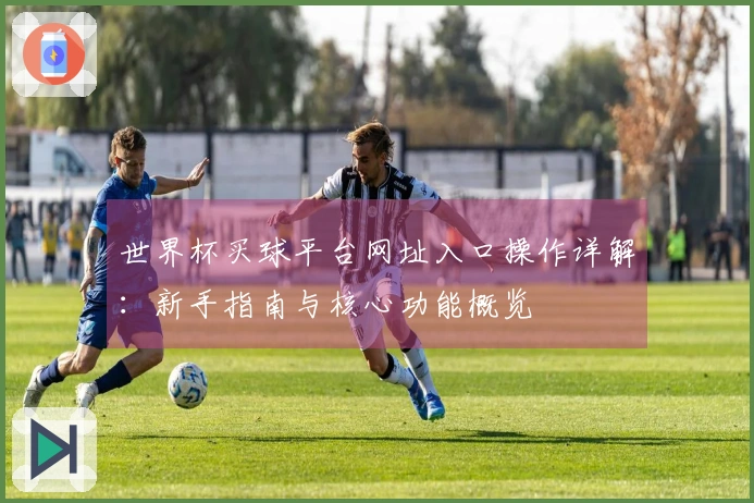 世界杯买球平台网址入口操作详解：新手指南与核心功能概览