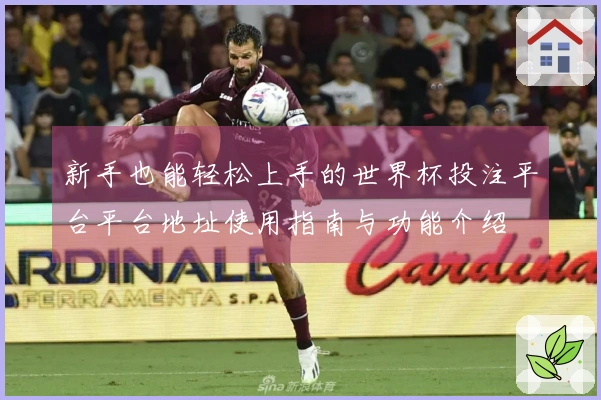 新手也能轻松上手的世界杯投注平台平台地址使用指南与功能介绍