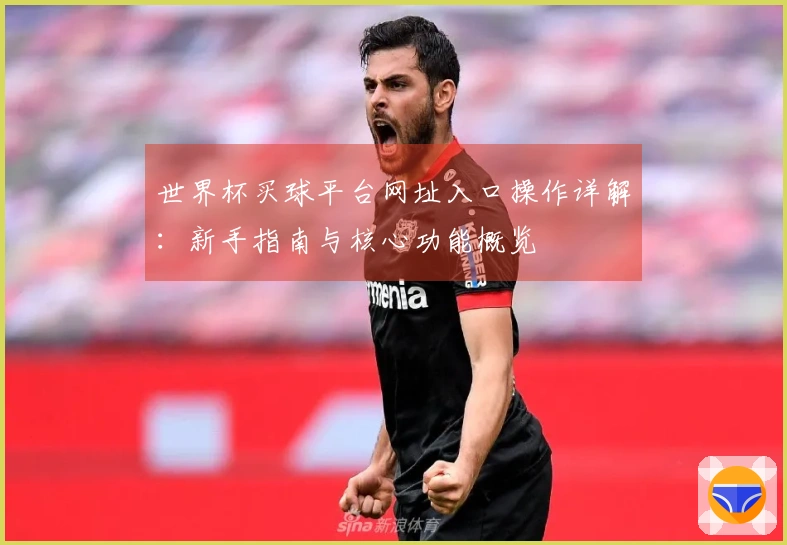 世界杯买球平台网址入口操作详解：新手指南与核心功能概览