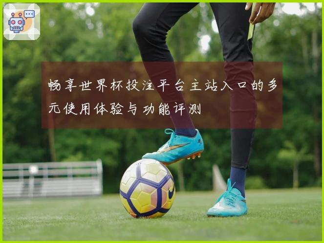 畅享世界杯投注平台主站入口的多元使用体验与功能评测