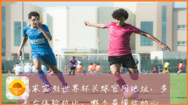 玩家实测世界杯买球官网地址，多平台体验对比，哪个最懂你的心