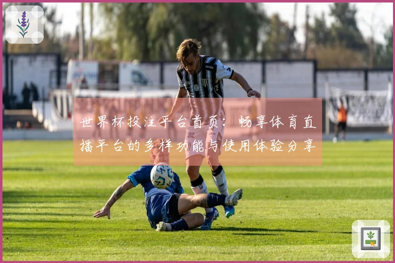 世界杯投注平台首页：畅享体育直播平台的多样功能与使用体验分享