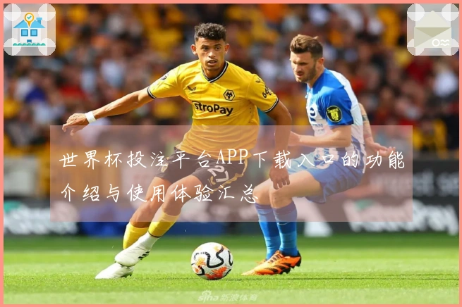世界杯投注平台APP下载入口的功能介绍与使用体验汇总